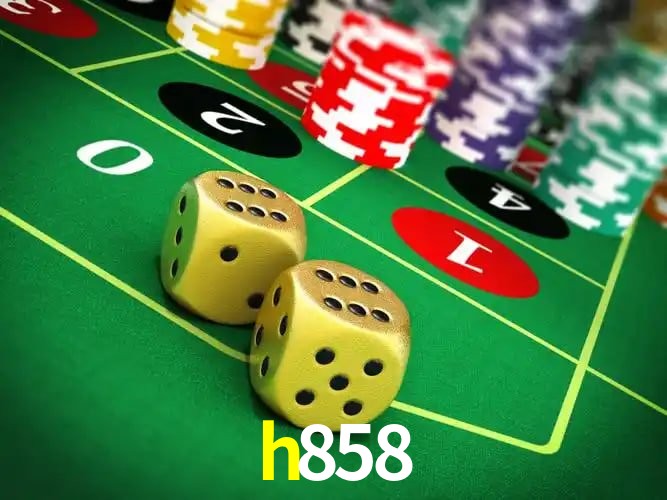Experiência VIP h858